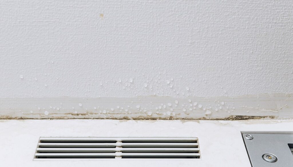 賃貸でのカビ発生や原状回復の注意点