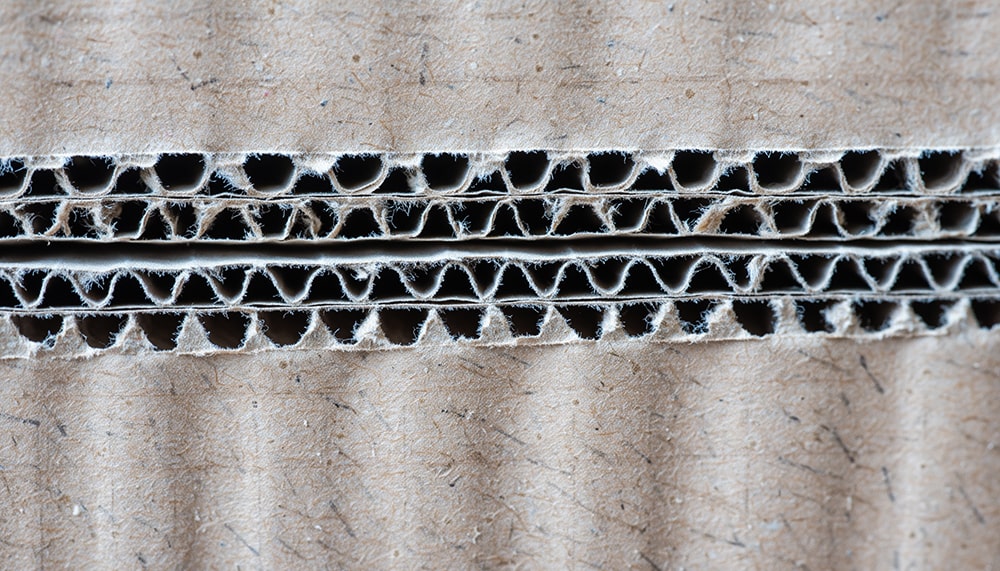 段ボール防音での睡眠と害虫発生のリスク